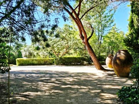 Quinta de 10154m2 com moradia T5 e piscina, na Herdade Zambujeiro, Santo Estêvão