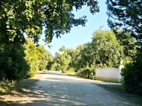 Quinta de 10154m2 com moradia T5 e piscina, na Herdade Zambujeiro, Santo Estêvão