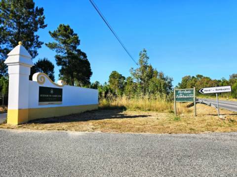 Quinta de 10154m2 com moradia T5 e piscina, na Herdade Zambujeiro, Santo Estêvão