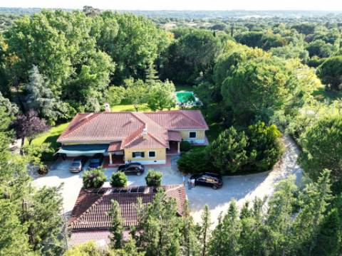 Quinta de 10154m2 com moradia T5 e piscina, na Herdade Zambujeiro, Santo Estêvão