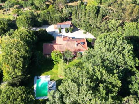 Quinta de 10154m2 com moradia T5 e piscina, na Herdade Zambujeiro, Santo Estêvão