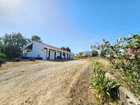 Herdade equestre com moradia T5 e piscina, 93,5ha, em Ourique, Alentejo