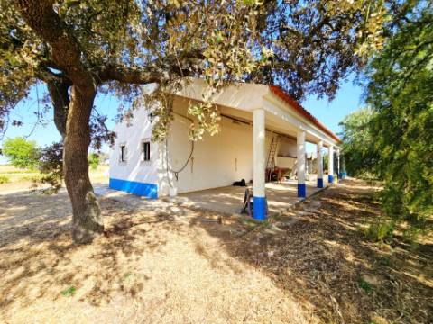 Herdade equestre com moradia T5 e piscina, 93,5ha, em Ourique, Alentejo