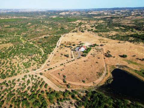 Herdade equestre com moradia T5 e piscina, 93,5ha, em Ourique, Alentejo