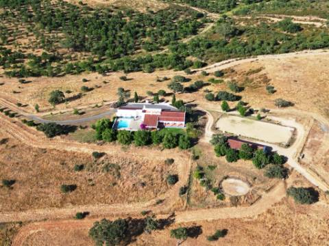 Herdade equestre com moradia T5 e piscina, 93,5ha, em Ourique, Alentejo