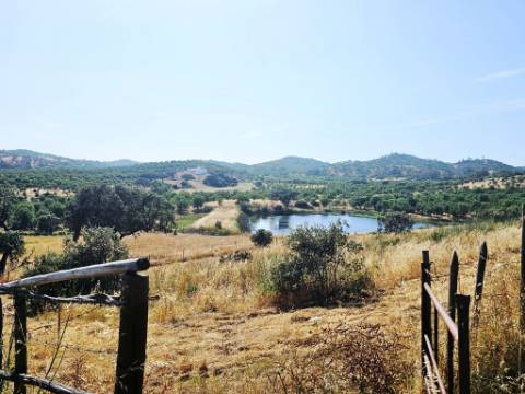 Herdade equestre com moradia T5 e piscina, 93,5ha, em Ourique, Alentejo