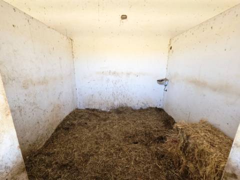 Herdade equestre com moradia T5 e piscina, 93,5ha, em Ourique, Alentejo