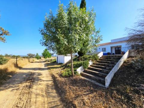 Herdade equestre com moradia T5 e piscina, 93,5ha, em Ourique, Alentejo