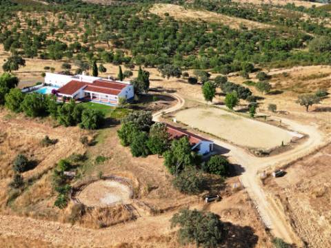 Herdade equestre com moradia T5 e piscina, 93,5ha, em Ourique, Alentejo