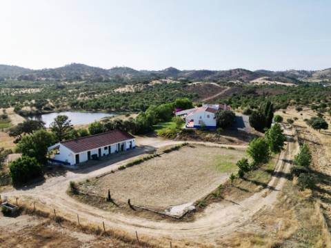 Herdade equestre com moradia T5 e piscina, 93,5ha, em Ourique, Alentejo