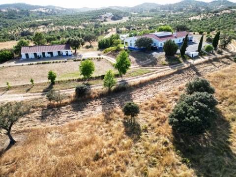 Herdade equestre com moradia T5 e piscina, 93,5ha, em Ourique, Alentejo