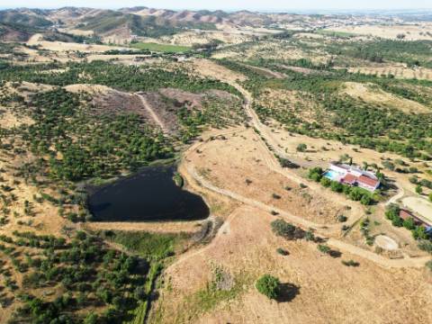 Herdade equestre com moradia T5 e piscina, 93,5ha, em Ourique, Alentejo