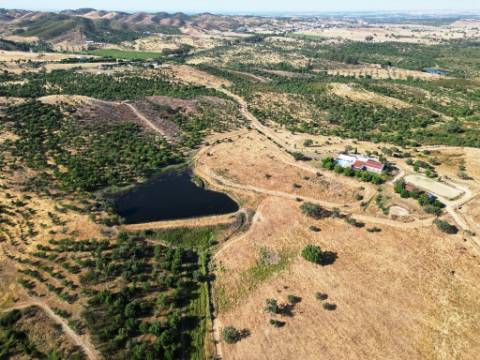 Herdade equestre com moradia T5 e piscina, 93,5ha, em Ourique, Alentejo