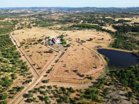 Herdade equestre com moradia T5 e piscina, 93,5ha, em Ourique, Alentejo