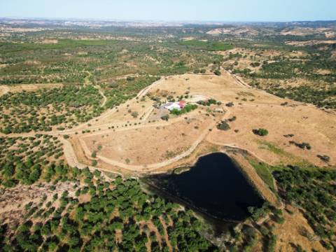 Herdade equestre com moradia T5 e piscina, 93,5ha, em Ourique, Alentejo