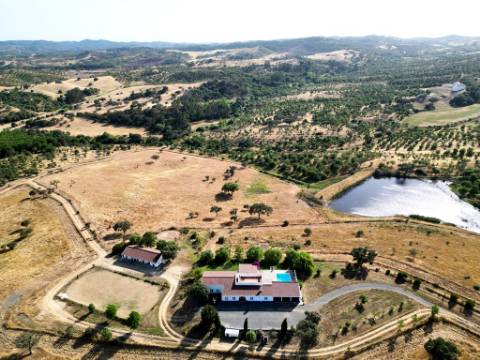 Herdade equestre com moradia T5 e piscina, 93,5ha, em Ourique, Alentejo