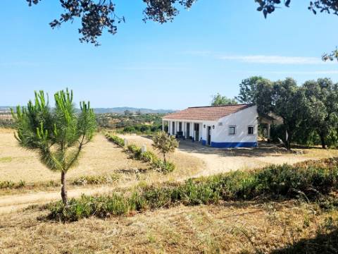 Herdade equestre com moradia T5 e piscina, 93,5ha, em Ourique, Alentejo