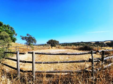 Herdade equestre com moradia T5 e piscina, 93,5ha, em Ourique, Alentejo