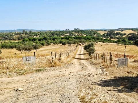 Herdade equestre com moradia T5 e piscina, 93,5ha, em Ourique, Alentejo