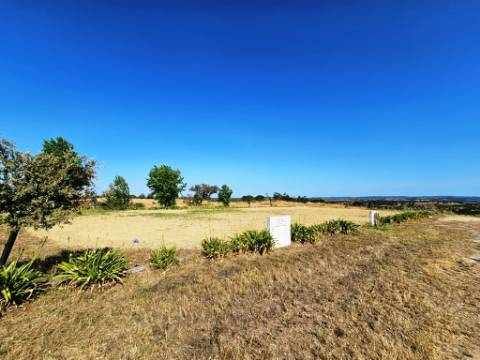 Herdade equestre com moradia T5 e piscina, 93,5ha, em Ourique, Alentejo