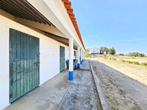Herdade equestre com moradia T5 e piscina, 93,5ha, em Ourique, Alentejo