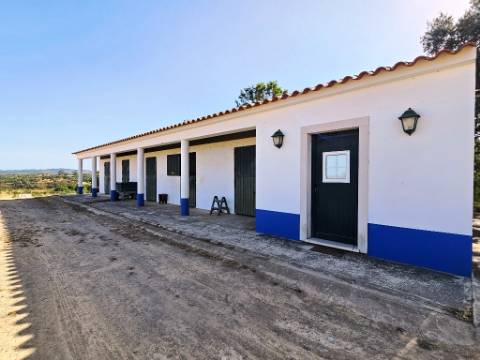 Herdade equestre com moradia T5 e piscina, 93,5ha, em Ourique, Alentejo