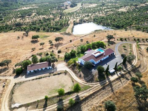 Herdade equestre com moradia T5 e piscina, 93,5ha, em Ourique, Alentejo