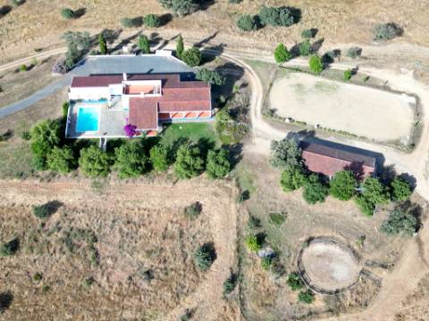 Herdade equestre com moradia T5 e piscina, 93,5ha, em Ourique, Alentejo