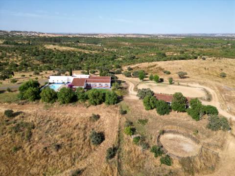Herdade equestre com moradia T5 e piscina, 93,5ha, em Ourique, Alentejo