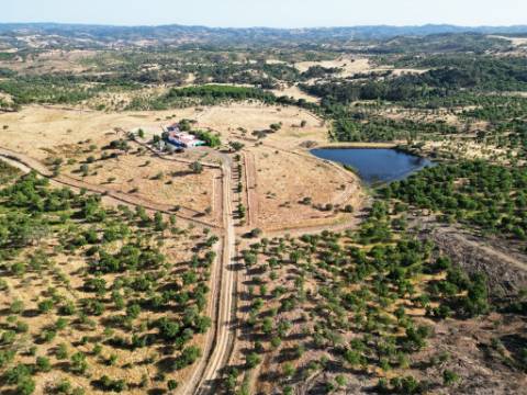 Herdade equestre com moradia T5 e piscina, 93,5ha, em Ourique, Alentejo