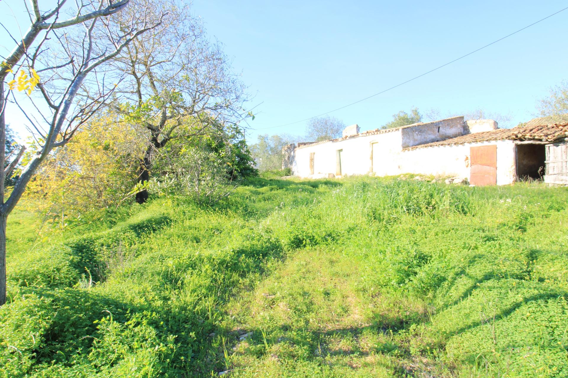 TERRENO MISTO COM 2 RUINAS, PECHÃO