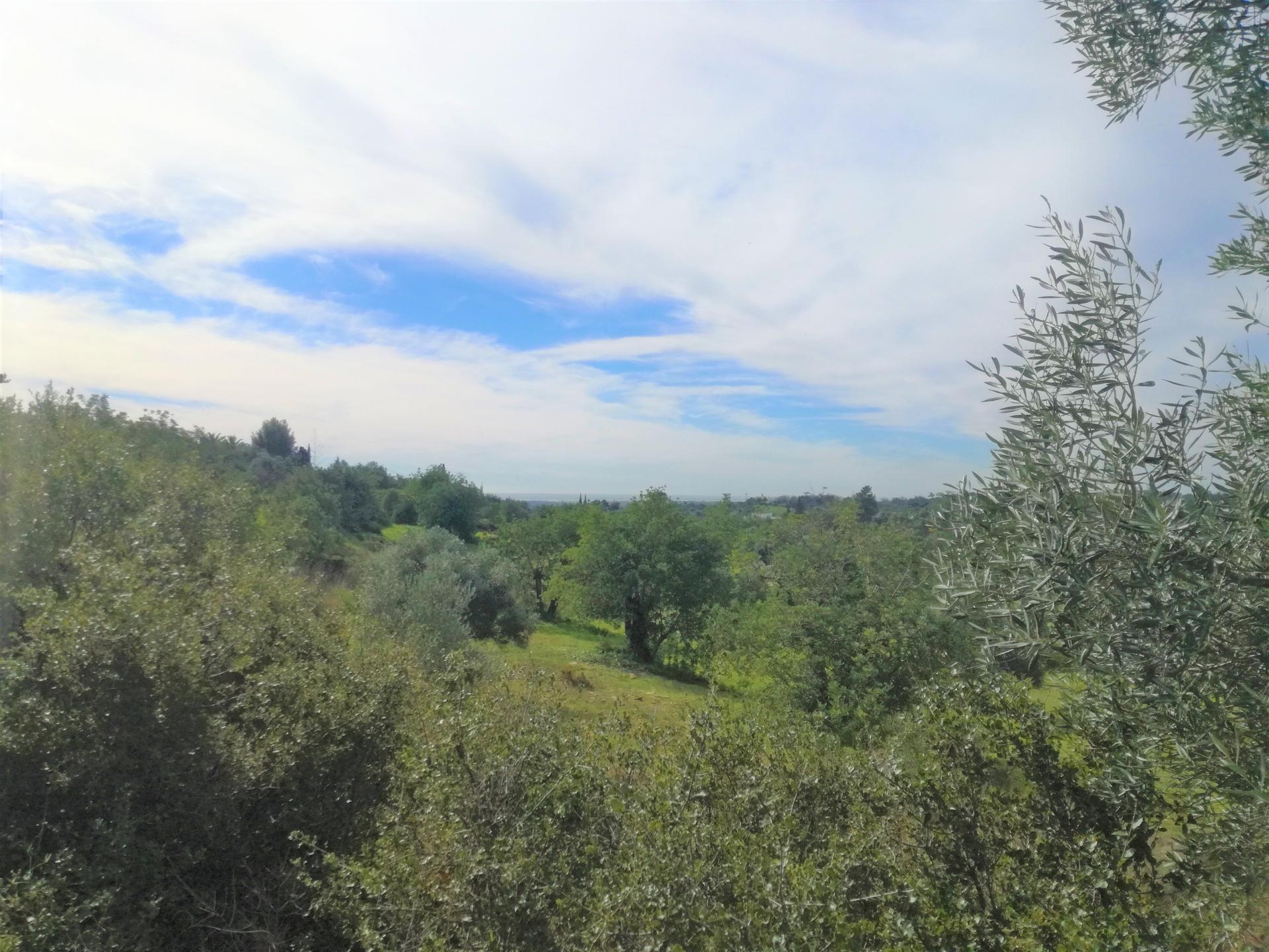 Terreno Rústico, vista Mar e Serra.
