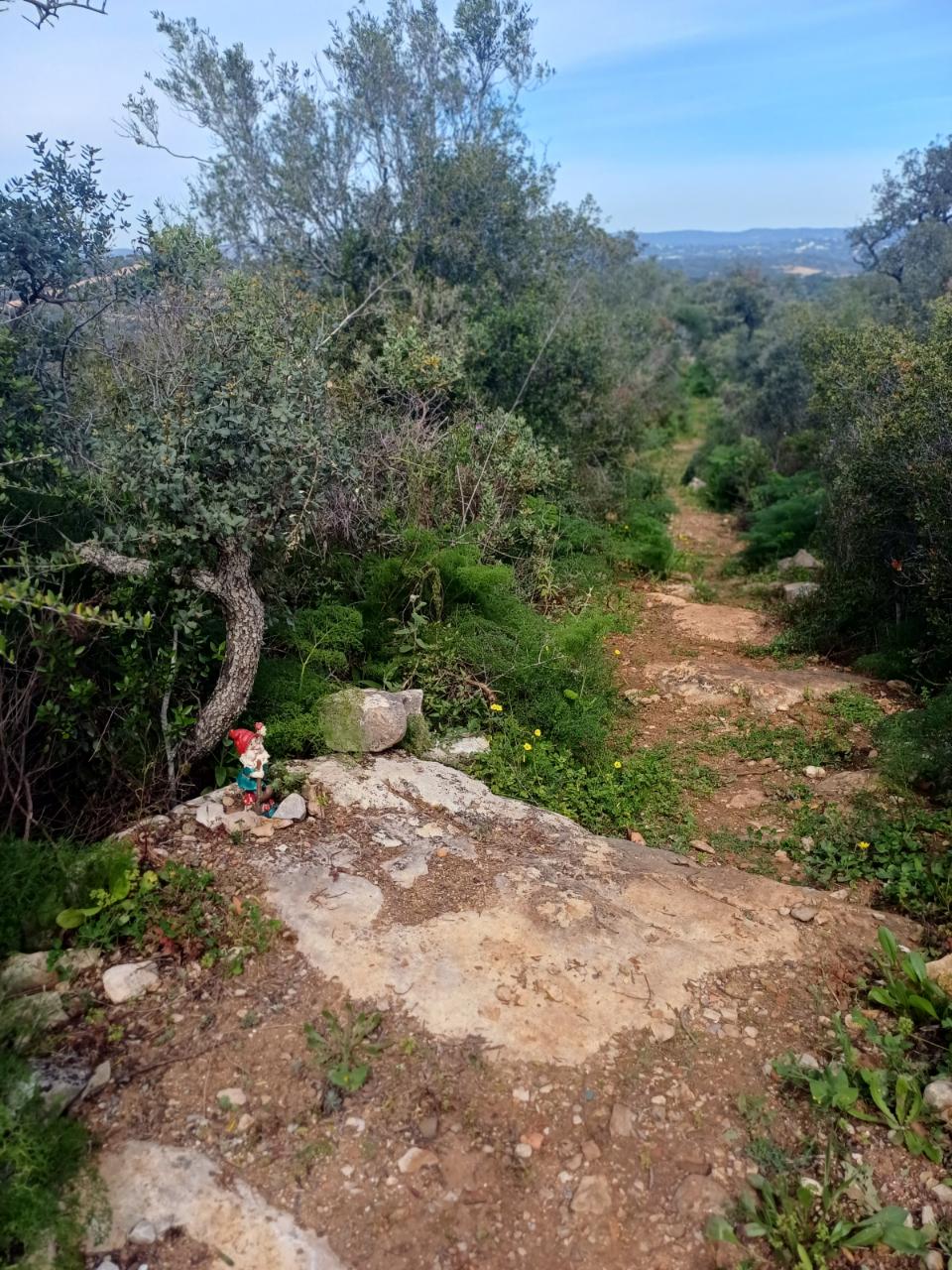 Terreno misto com ruina. Barranco de São Miguel.