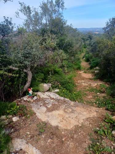 Terreno misto com ruina. Barranco de São Miguel.