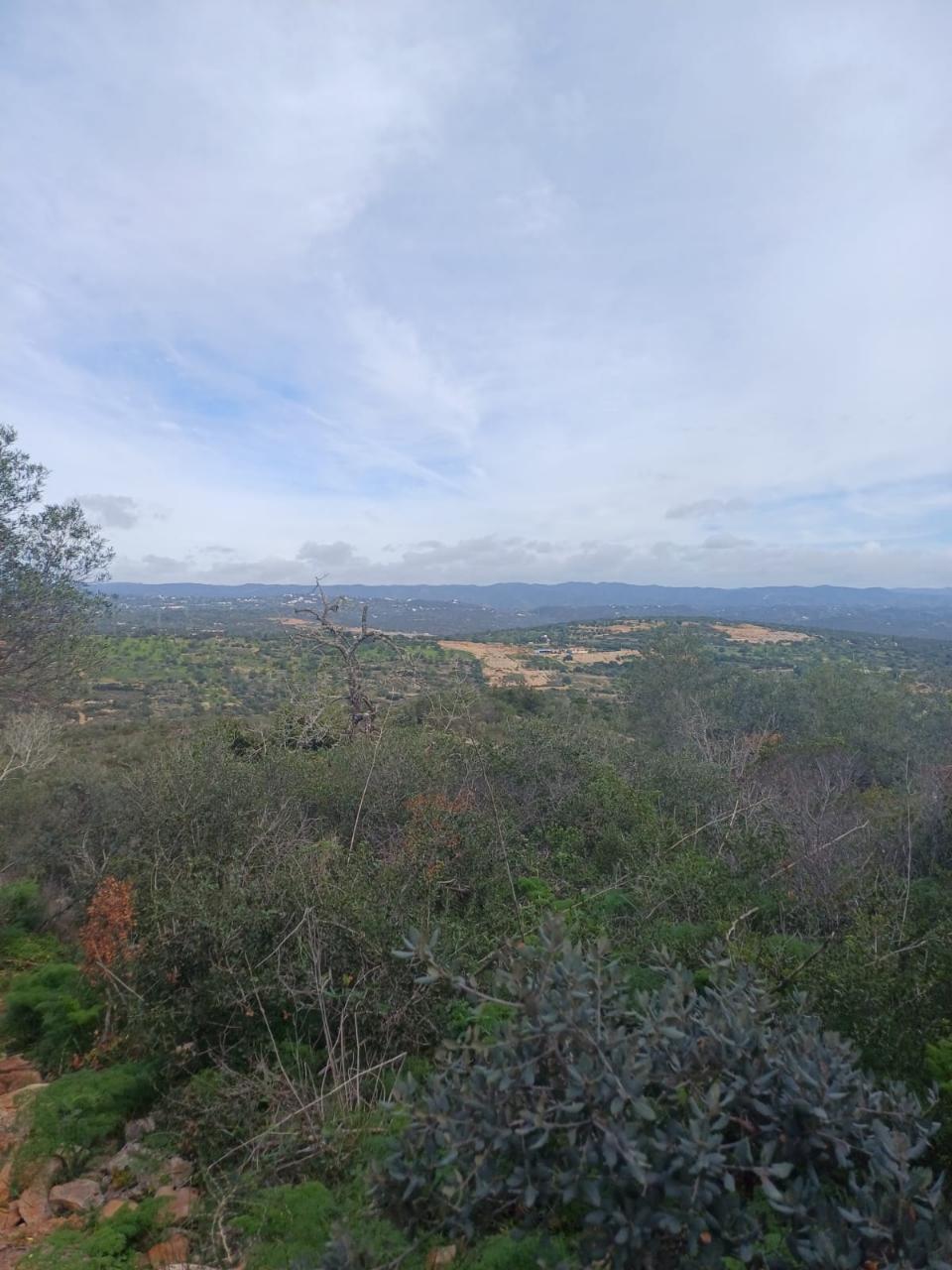 Terreno misto com ruina. Barranco de São Miguel.