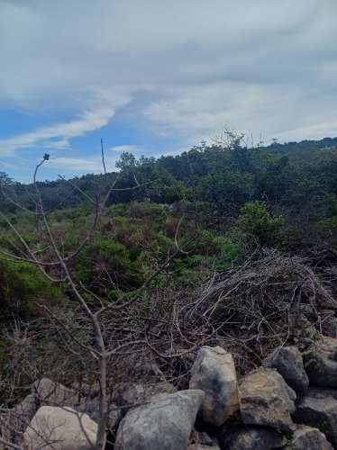 Terreno misto com ruina. Barranco de São Miguel.