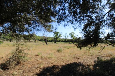 Terreno Rustico.