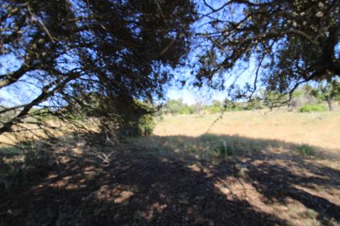 Terreno Rustico.