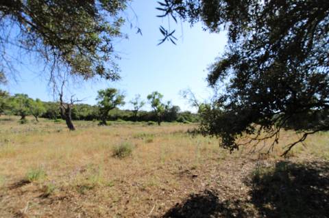 Terreno Rustico.