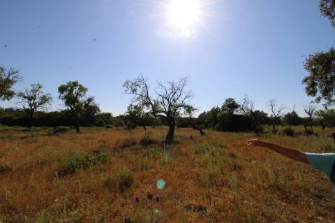 Terreno Rustico.