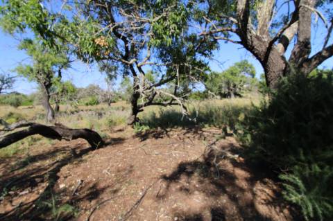 Terreno Rustico.