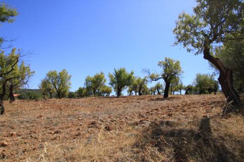Terreno com Ruína, Estoi, Faro