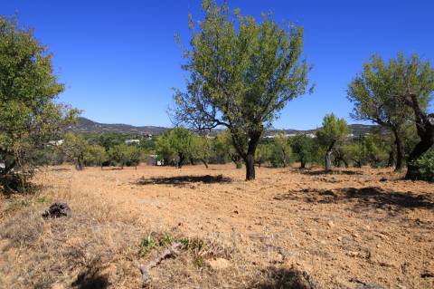 Terreno com Ruína, Estoi, Faro