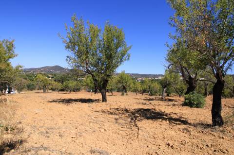 Terreno com Ruína, Estoi, Faro