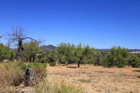 Terreno com Ruína, Estoi, Faro