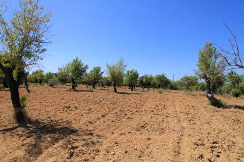 Terreno com Ruína, Estoi, Faro