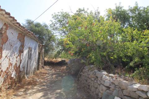 Casa Antiga para recuperar, e Terreno.