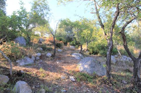 Magnifico terreno, Ruina para Recuperar, Vista Mar