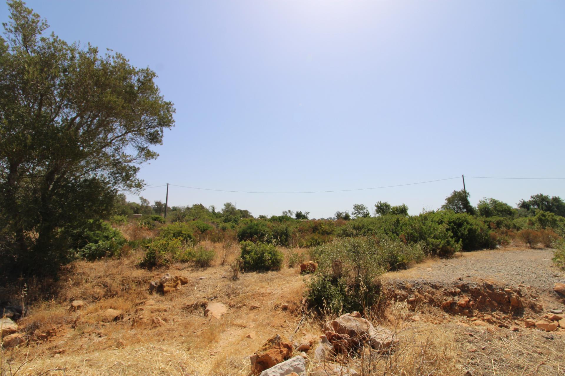 Terreno Rústico com 21.560 m² em Quelfes, Olhão