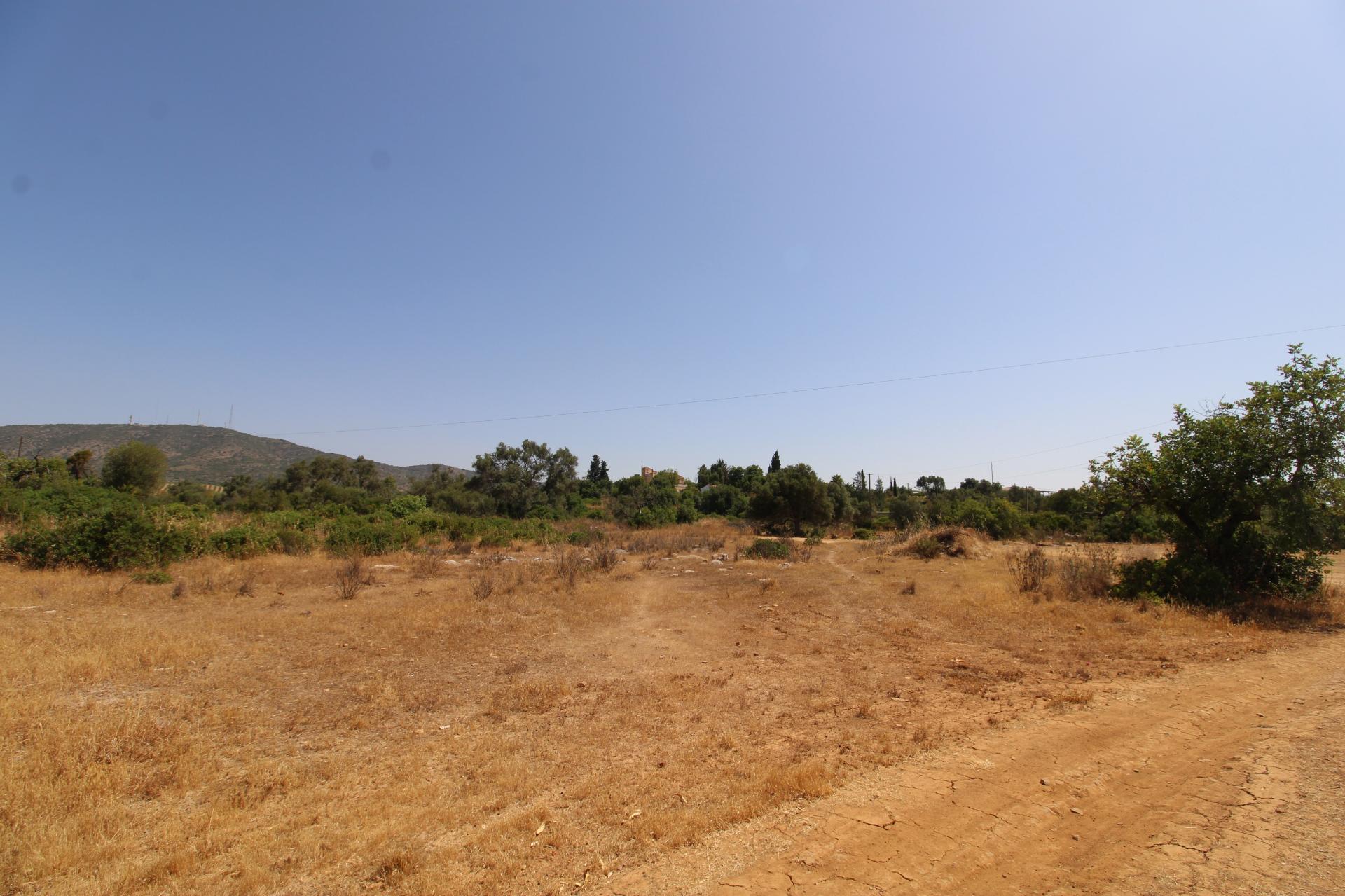 Terreno Rústico com 21.560 m² em Quelfes, Olhão